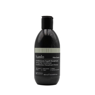SENDO ACONDICIONADOR FRIZZ CONTROL 250ML